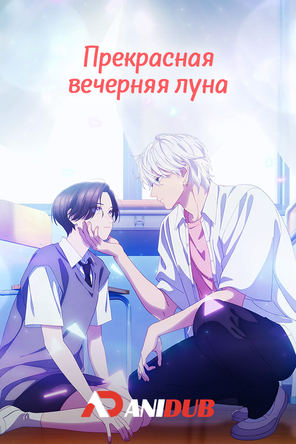 Прекрасная вечерняя луна